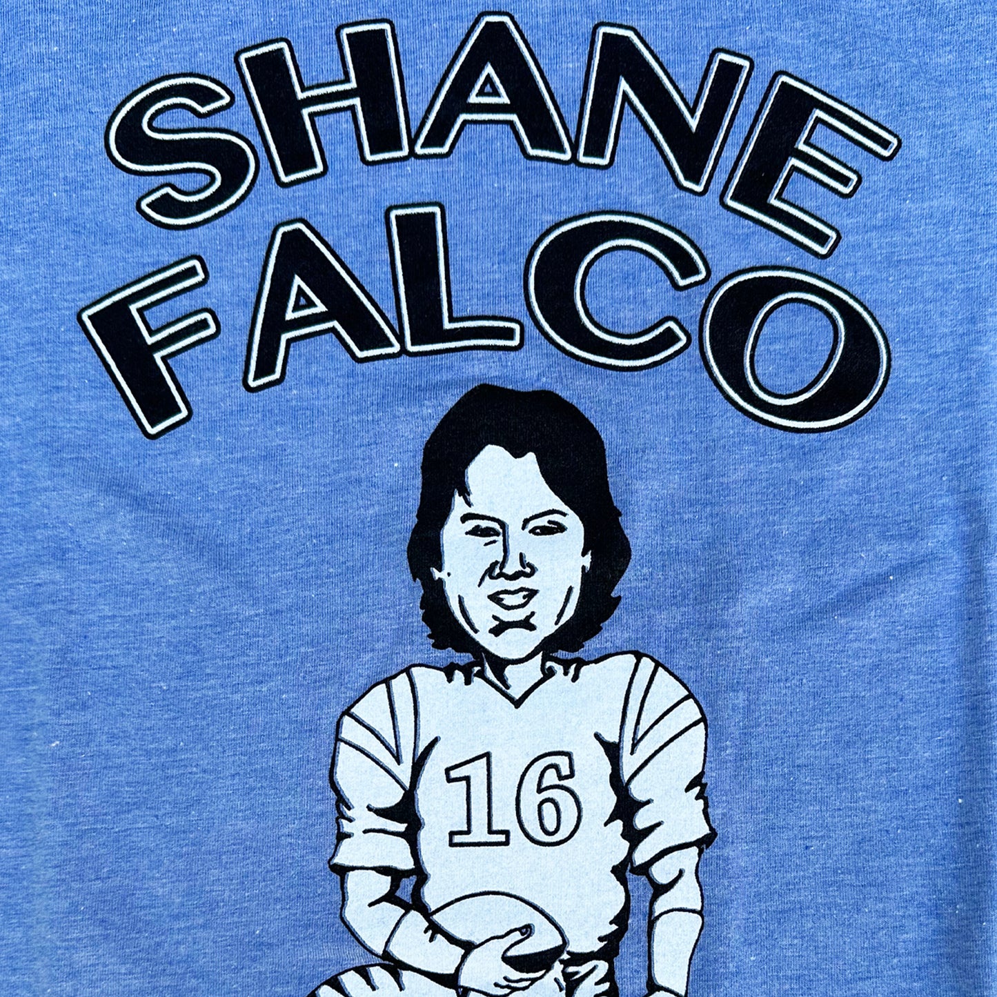 Shane Falco